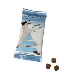 Observence Chien 15 Boulettes