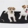Back On Track Matelas De Cage Pour Chien 74 X 120 Cm