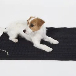 Back On Track Matelas Tous Usages 38 X 55 Cm