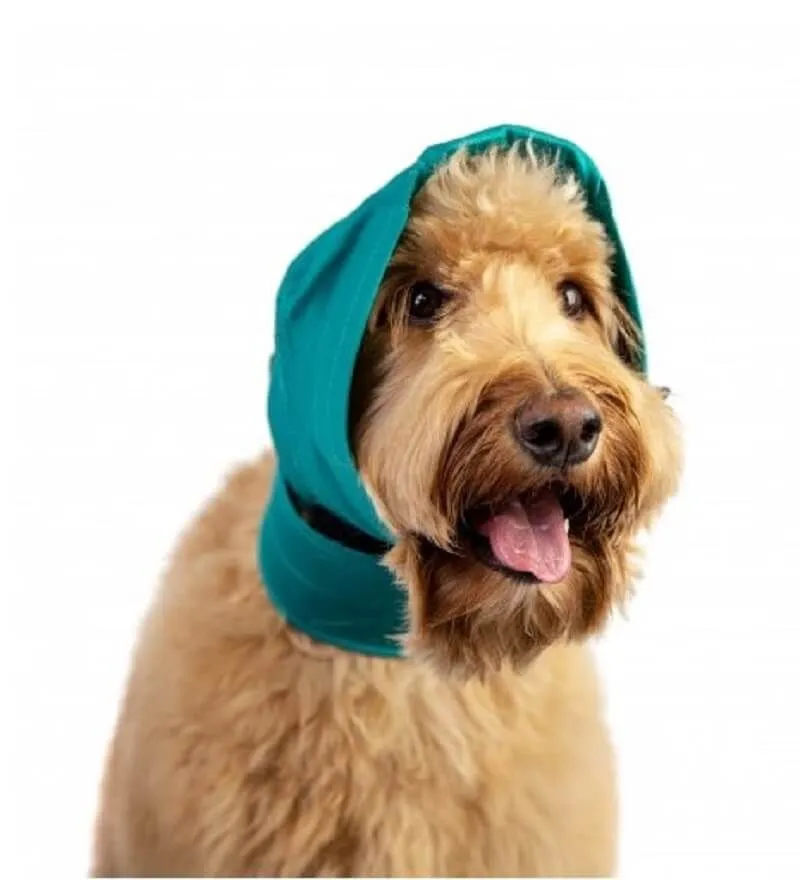 Bandage No Flap Pour Chien S/M