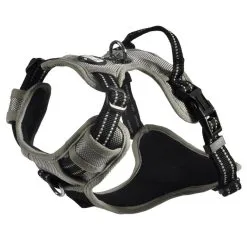 Bobby Harnais Rando Walk Gris Pour Chien S