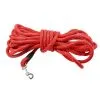 Bobby Longe Walk Chien Orange 5 M
