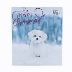 Bubimex Calendrier De L'Avent Pour Chien