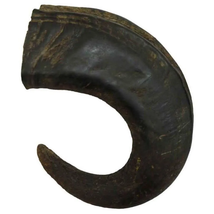 Bubimex Corne De Buffle L