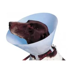 Buster Carcan Classique Pour Chiens - 30 Cm