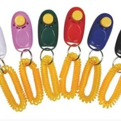 Gloria Clicker Training Education