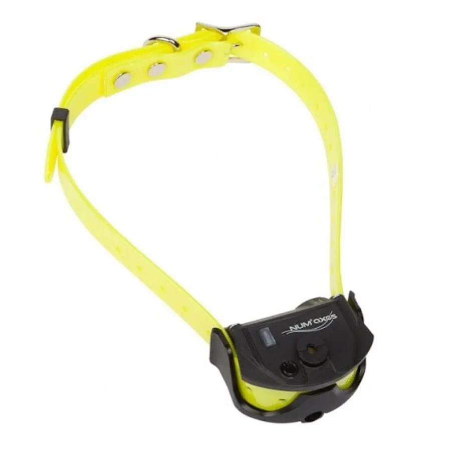 Collier Seul Canicom Spray Avec Sangle Jaune