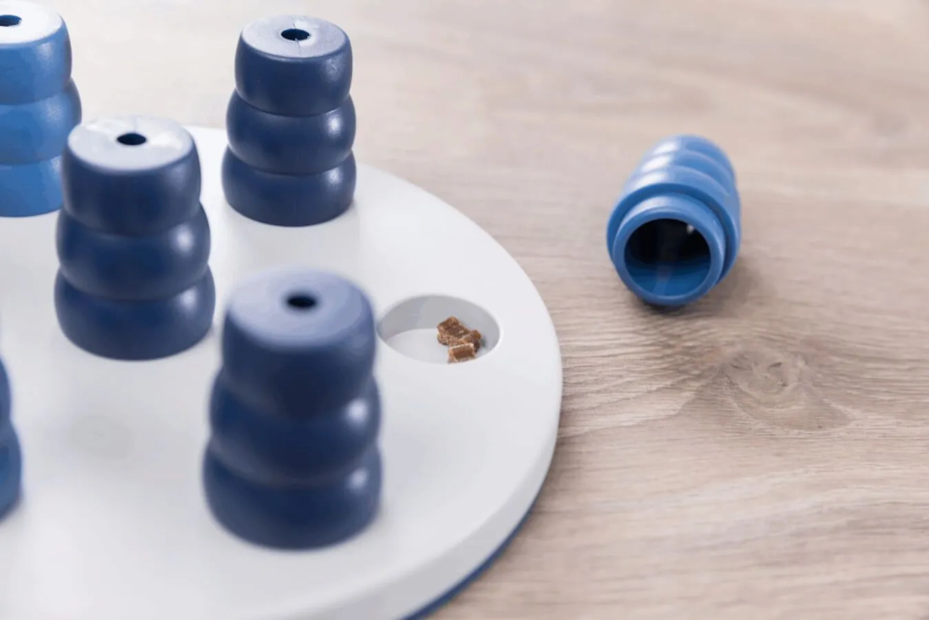 Dog Activity Mini Solitaire – Image 2