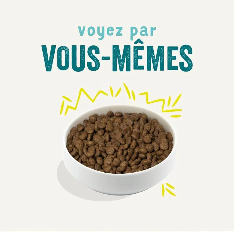 Edgard & Cooper Croustillantes Carotte & Courgette Chien 2.5 Kg – Image 2