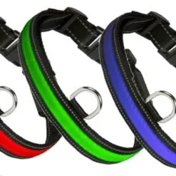 NUM'AXES Eyenimal RGB Light Collar 3 Couleurs S