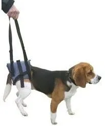 Harnais Handy Canis Pattes Arrières XL