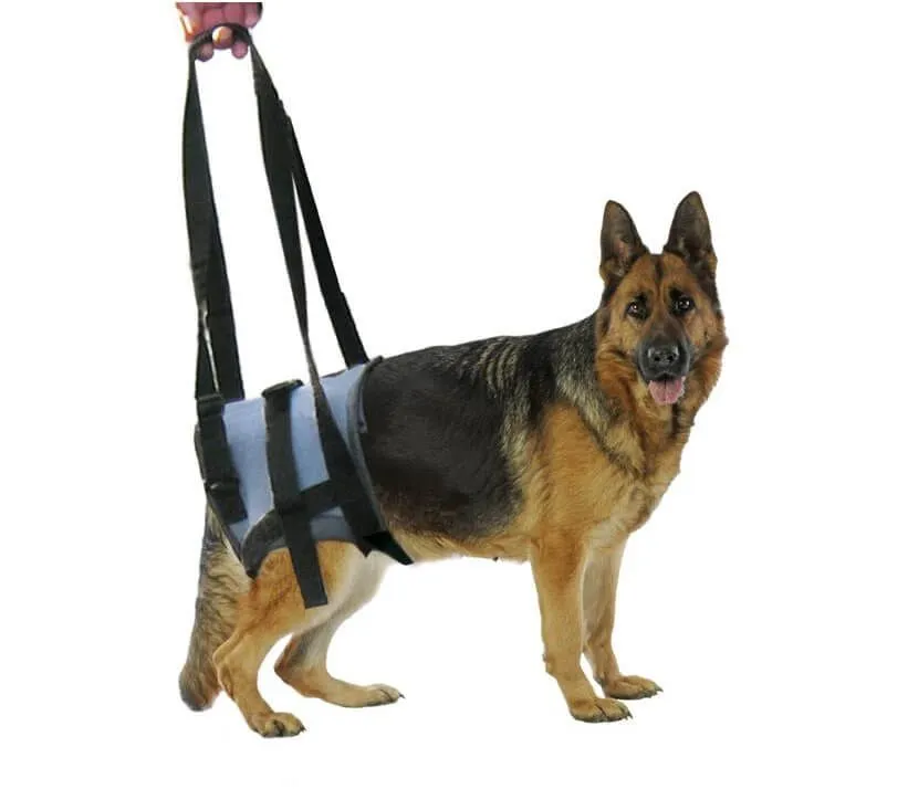 Harnais Handy Canis Pattes Arrières XL – Image 4