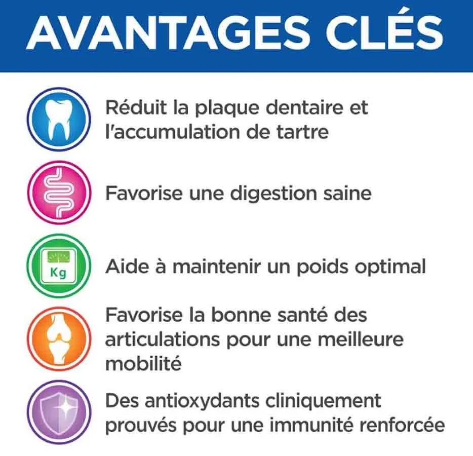 Hill's Vetessentials Hill's Science Plan VetEssentials Canine Mature Dental Health Small & Mini Poulet 2 Kg – Image 4