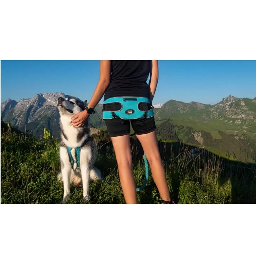 I-Dog ALM Baudrier Canyon – Image 4