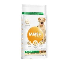 IAMS Vitality Croquettes Chien Adulte Grande Race Poulet 3 Kg - Destockage