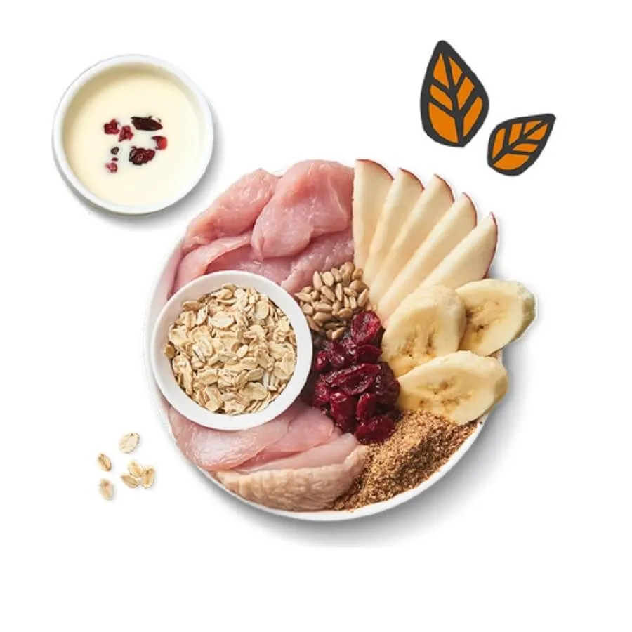 Lily's Kitchen Lily's Kitchen Chien Petit Déjeuner 800 G – Image 2