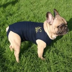 Medical Pet Shirt Chien XXL