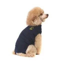 Medical Pet Shirt Chien XS