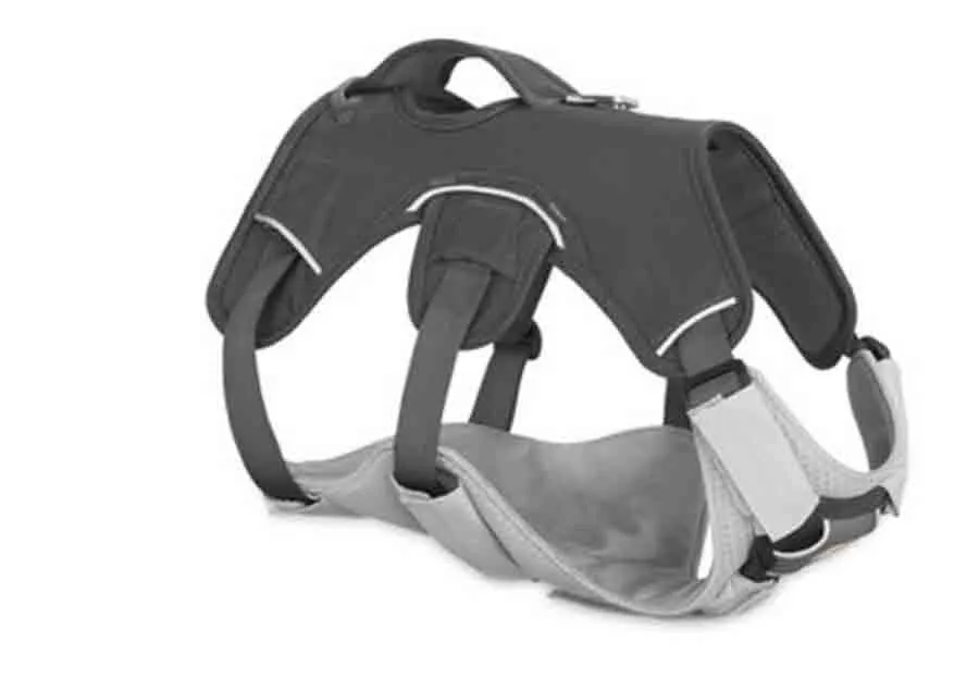 Ruffwear Core Cooler Gris M – Image 4