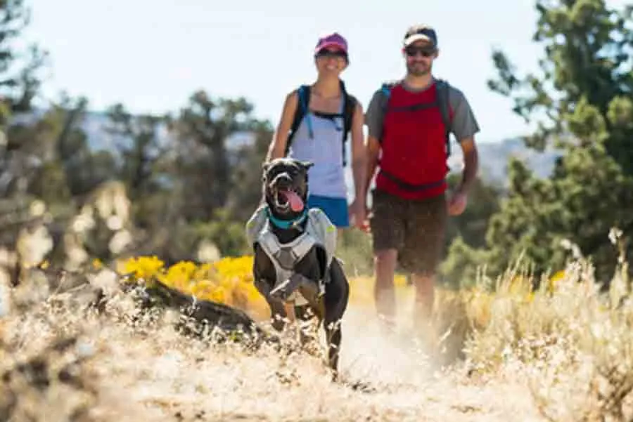 Ruffwear Core Cooler Gris M – Image 6