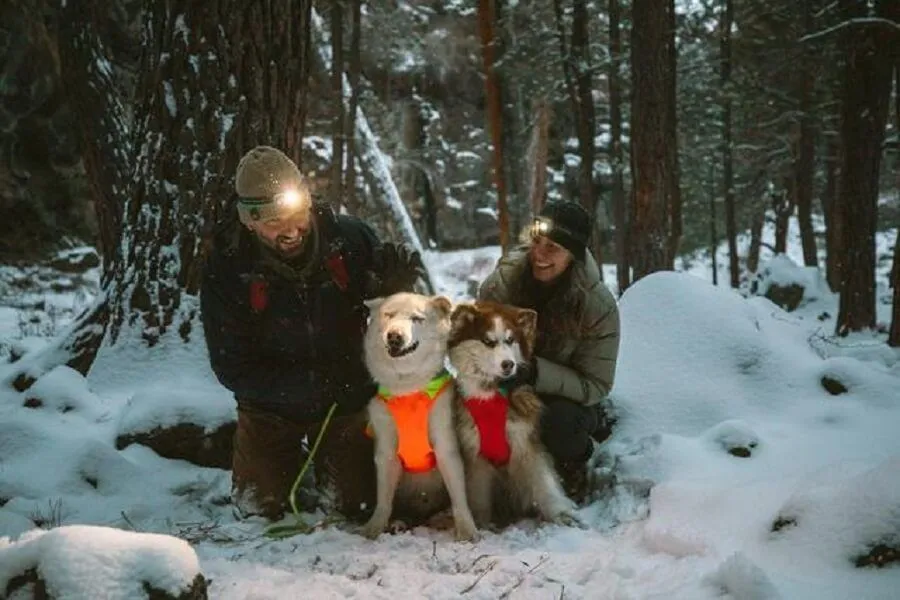 Ruffwear Veste Haute Visibilité Lumenglow Orange S – Image 5