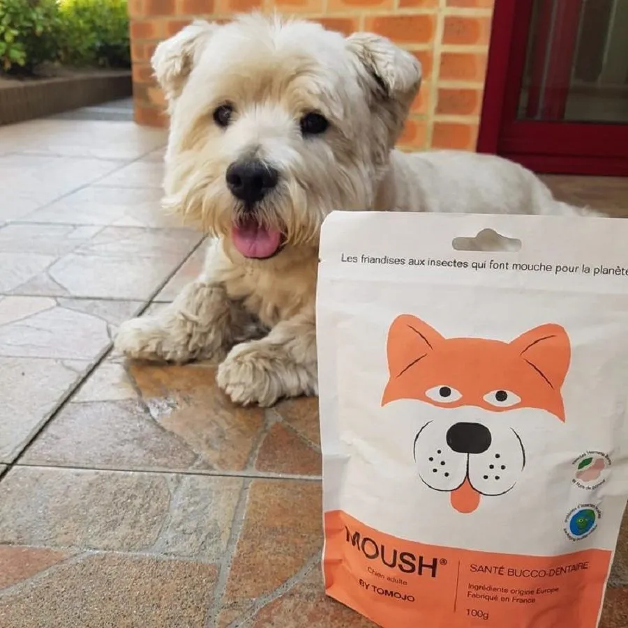 Tomojo Moush Friandises Hygiène Bucco-Dentaire Chien 100 G – Image 2