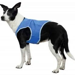 Trixie Veste Rafraîchissante XS