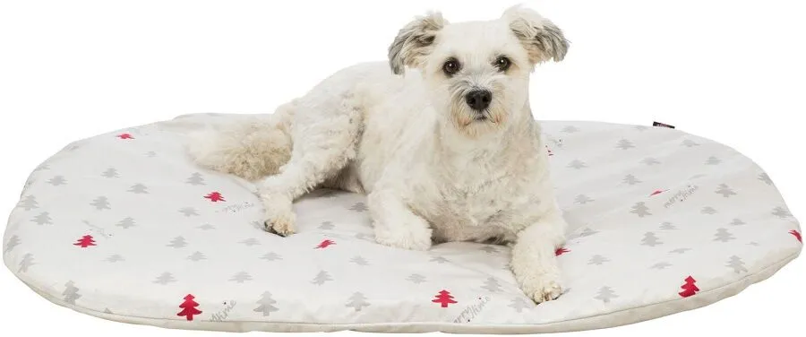 Trixie Noël Coussin Nivia Crème 98 X 62 Cm – Image 2