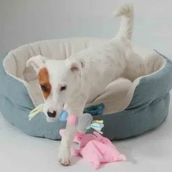 Zolux Corbeille Dream Puppy Bleu 45 Cm