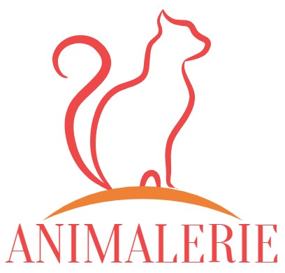 Nourriture pour chien Soldes